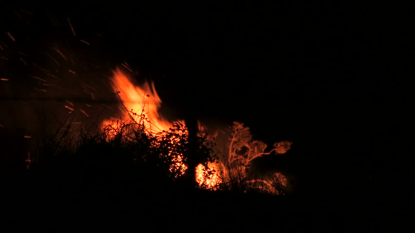 During a California wildfire, brush is consumed by fire. The blaze grows as firemen rush to save homes. You can hear a bulldozer nearby clearing the hillside.