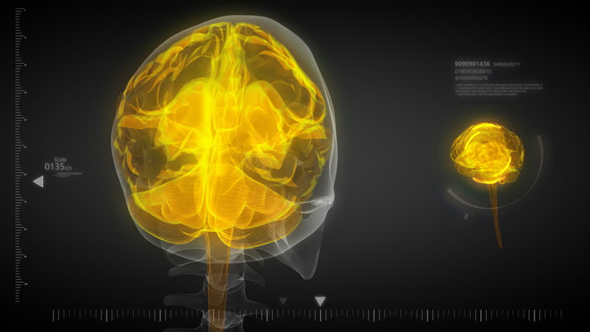 human brain energy 3d animation