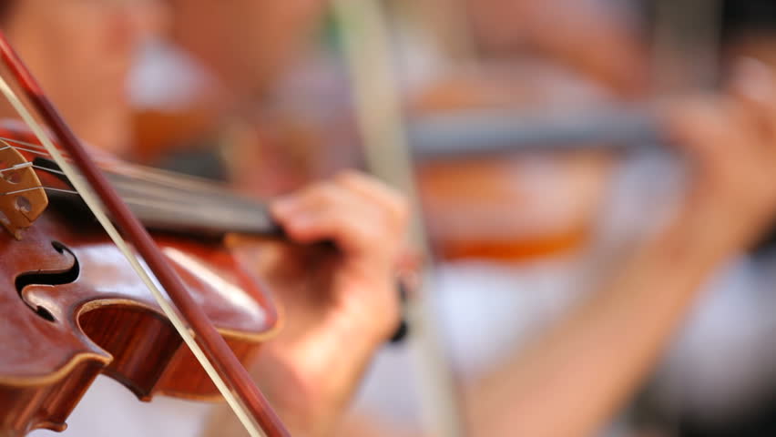 Violinists in the orchestra. Several violinists played professional tone. The background is blurred.