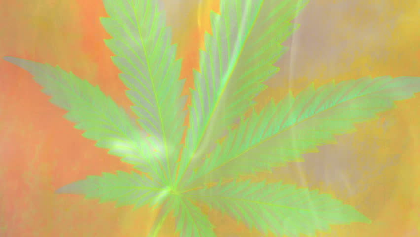 Smoke weed. Leaf of marijuana in a cloud of smoke