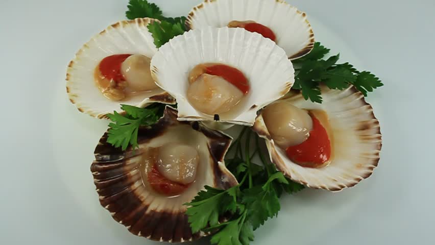 Scallops in shells  and parsley 