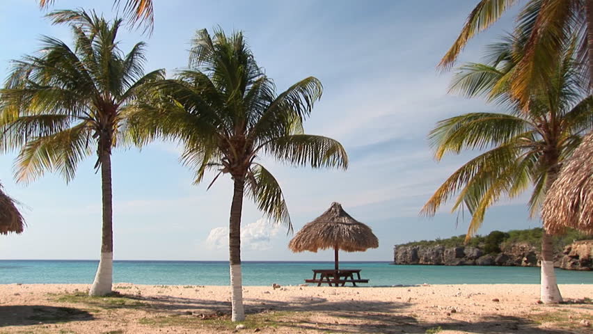 Wide shot of a tropical beach with palm trees. Shot on Curacao, Netherlands Antilles. 