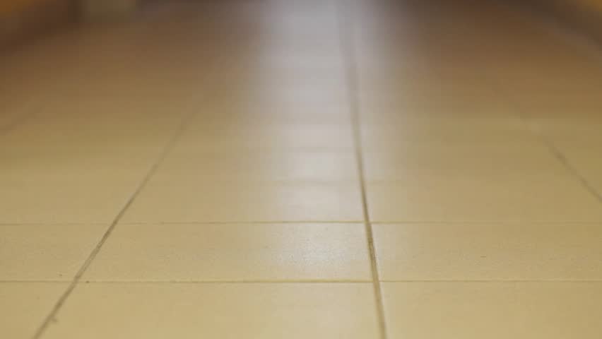 Header of mop