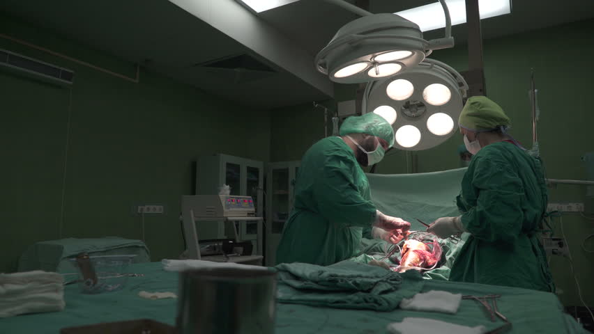 surgical patient tracer 3 • rc020401 ep 3 requires documentation in the medical record of infor- in a tracer involving a surgical patient, for example, kuhny says she. surgical patient tracer 3 • rc020401 ep 3 requires documentation in the medical record of infor- in a tracer involving a surgical patient, for example, kuhny says she.