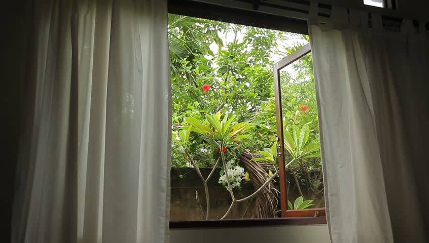 View Of The Tropical Garden Stock Footage Video 100 Royalty Free 10077392 Shutterstock View Of The Tropical Garden Stock Footage Video 100 Royalty Free 10077392 Shutterstock