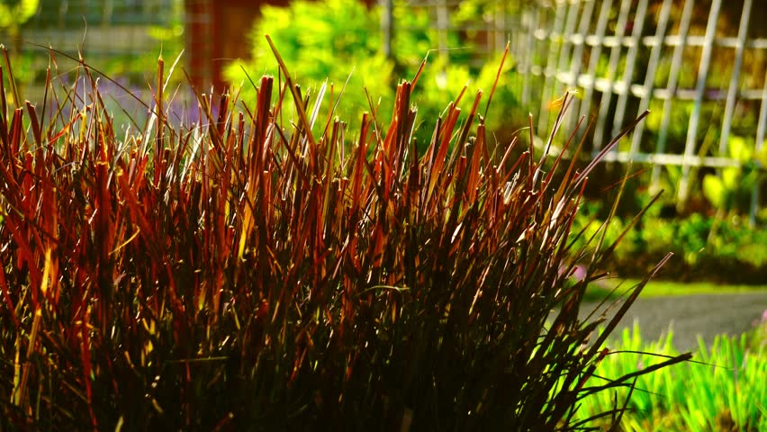 Header of blower
