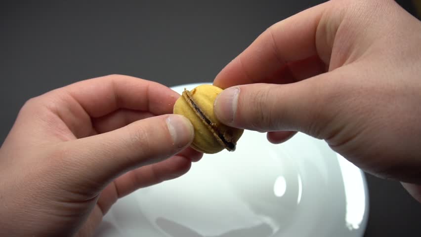 Header of nutlet