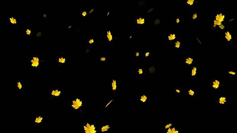 fall season gold colored leaves stock footage video 100 royalty free 1011591032 shutterstock fall season gold colored leaves stock footage video 100 royalty free 1011591032 shutterstock