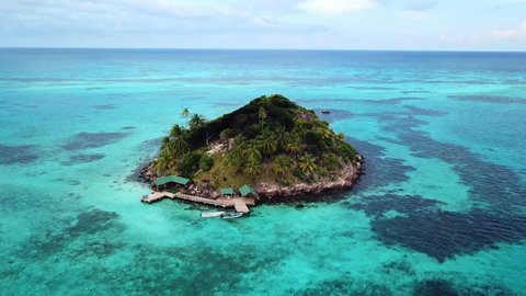 Surrounding Cay Crab On The Paradisiacal Island Providence