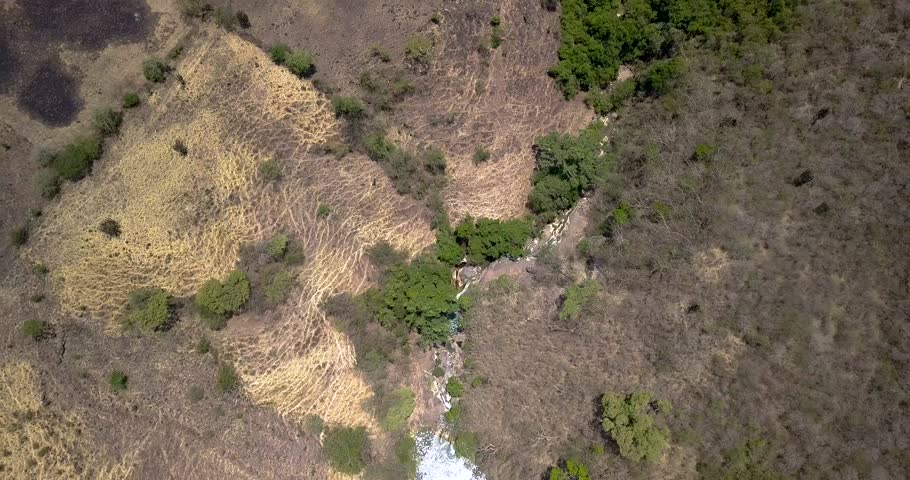 Streams and nature landscape in Jalisco image - Free stock photo ...