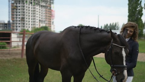 Horses Beside The Sea Stock Video Footage 4k And Hd Video Clips