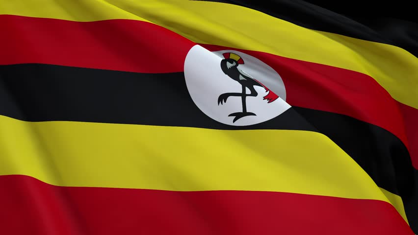 Uganda Flag Stock Video Footage - 4K and HD Video Clips | Shutterstock