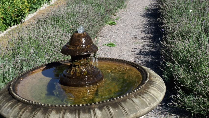 Water Fountain at Botanical Gardens image - Free stock photo - Public