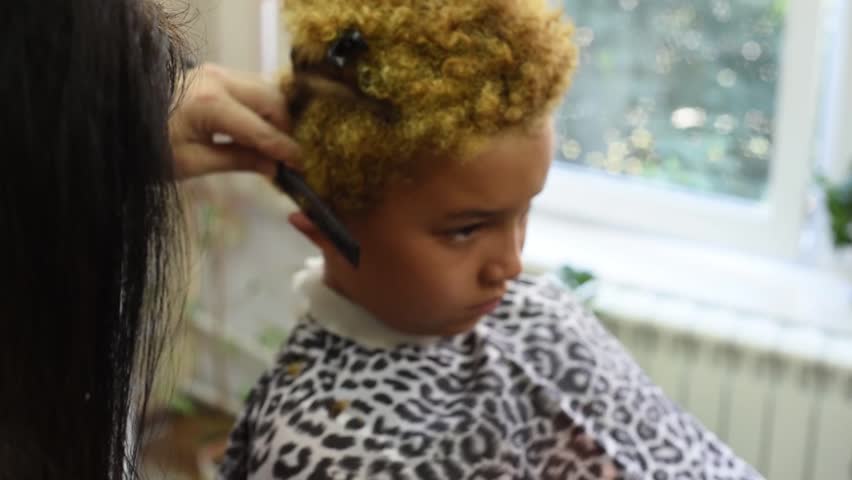 Hd00 15haircut Of Hard Curly Hair From African American Boy In The