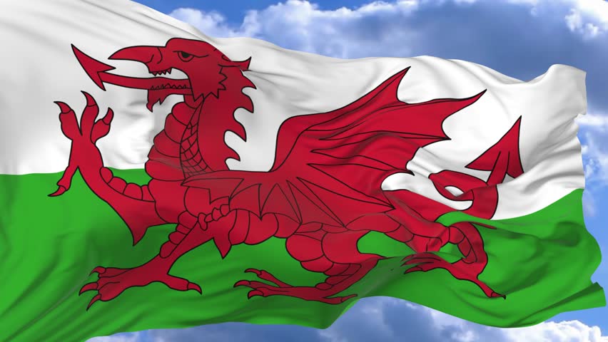 Bi dragon. Флаг Wales. Флаг с драконом. Би дракон флаг. Флаг Уэльса и флаг Казани.