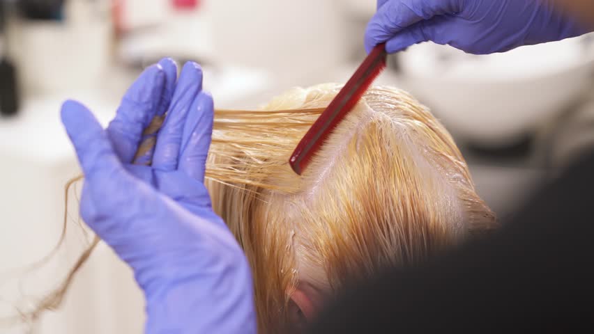 4k00 21a Hairdresser S Hand In Blue Gloves Holds A Thin Strand Of