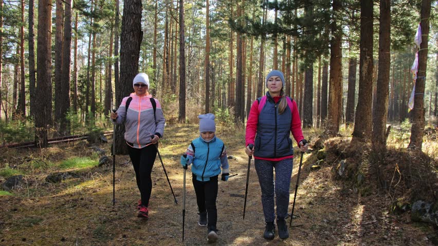 kids trekking pole