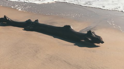 Wooden Trunk Next To The Beach Shore Of The Cemetery Of Ships In Luanda Agola Africa