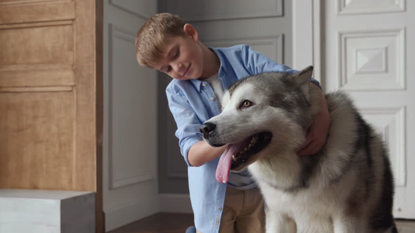 Alaskan Malamute Puppy In Swing Video Letter G