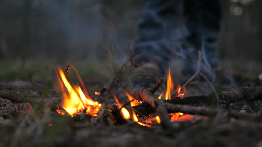 Fire Raising In The Forest Deliberate Stockvideos Filmmaterial