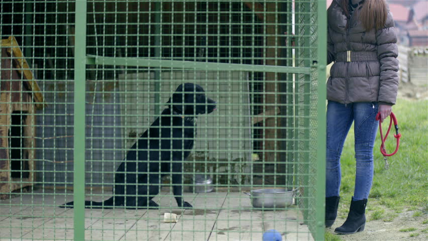 4k00 13owner Not Opening Dog Cage Door 4k Female Person