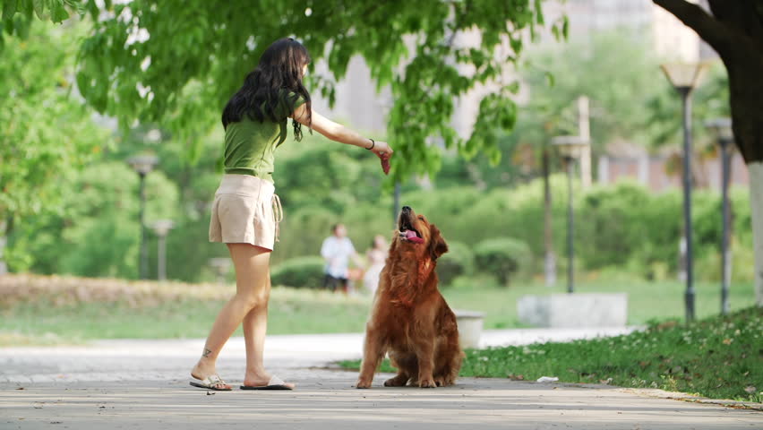 Pretty Long Hair Asian Woman Stock Footage Video 100 Royalty