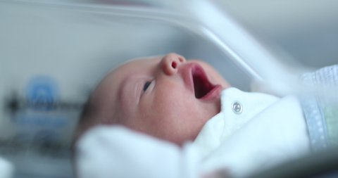 Newborn Baby Observing World Inside Stockvideos Filmmaterial