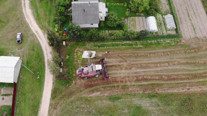 Harvester Buckwheat From The Field In The Backyard Top View From