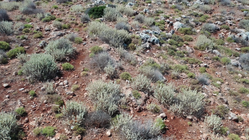 Beautiful Vegetation and Mountain Landscape in Crete image - Free stock ...