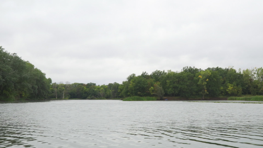 Side of the lake with reeds and trees image - Free stock photo - Public ...