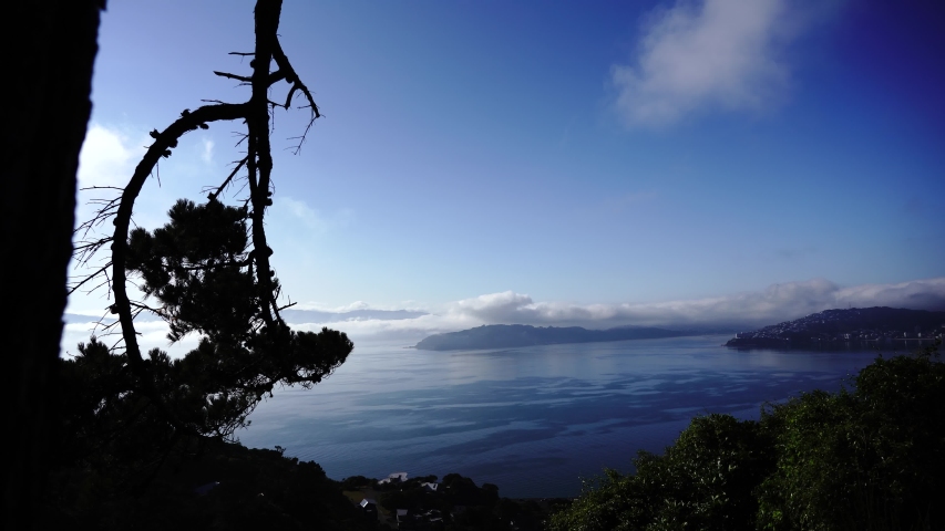 Waterfront cityscape of Wellington, New Zealand image - Free stock ...