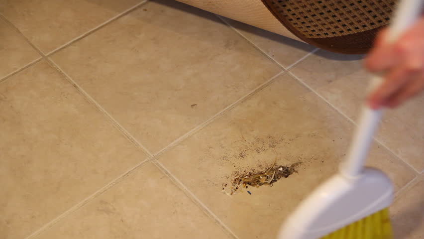 Sweeping Dirt Under Rug Video Clip & HD