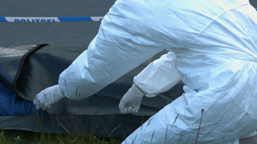 Body Bag Definition Meaning