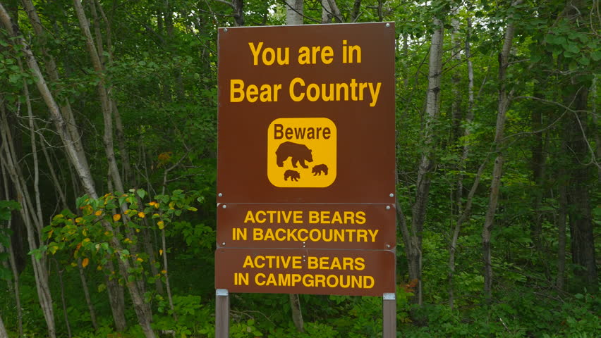 Beware Of Bears Sign In Stock Footage Video 100 Royalty Free Browse Video Categories