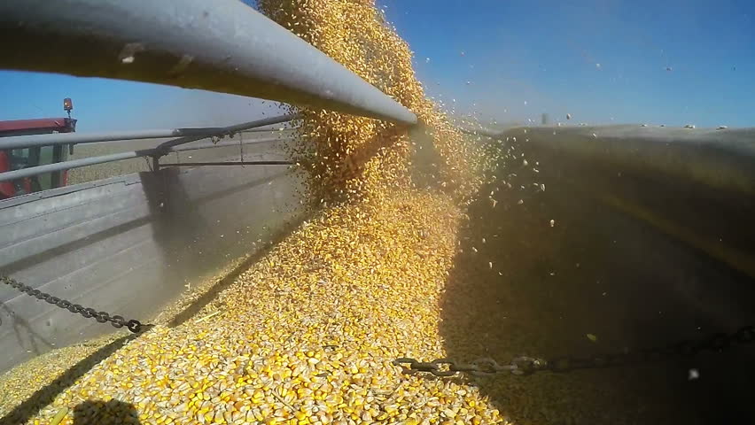 Resultado de imagen para ship loading corn