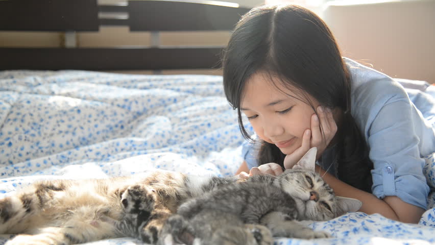 Hd00 23beautiful Asian Girl Lying With American Shorthair Cat On The