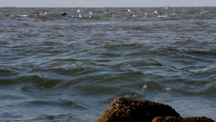 Edisto Beach Sc Usa Incoming Stock Footage Video 100 Royalty Edisto Beach Sc Usa Incoming Tide In Morning Light