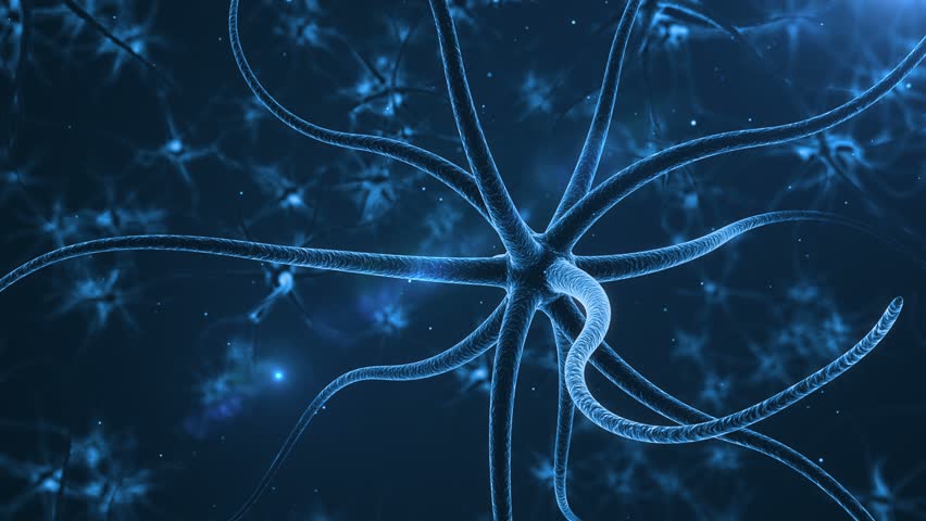 Real Neuron