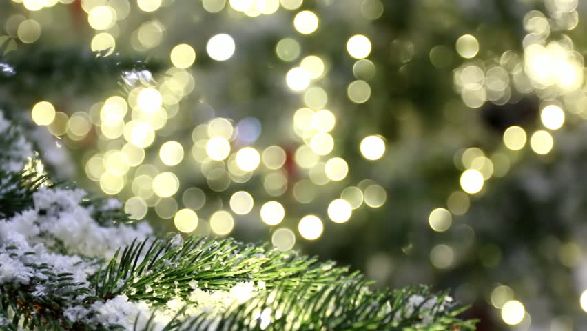 snowy fir tree branch close stock footage video 100 royalty free 12927062 shutterstock - Blurry Christmas Lights snowy fir tree branch close stock footage video 100 royalty free 12927062 shutterstock - Blurry Christmas Lights