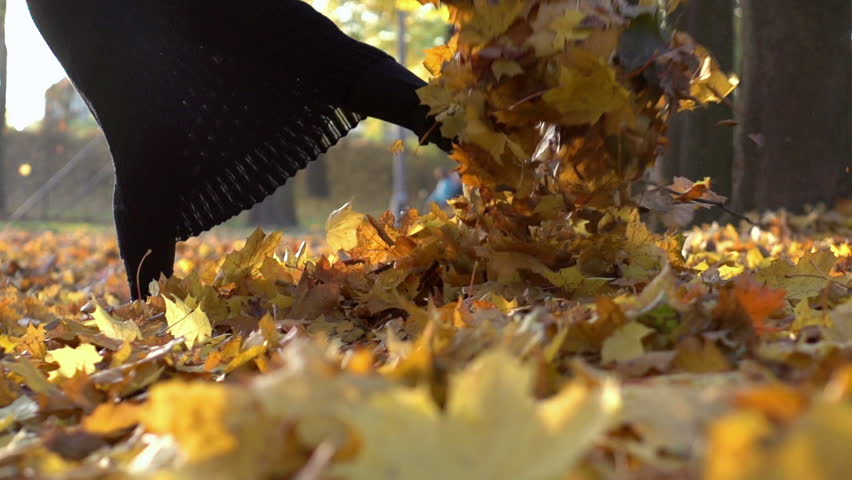 Woman Kicking Leaves in the Stock Footage Video (100% Royalty-free ...