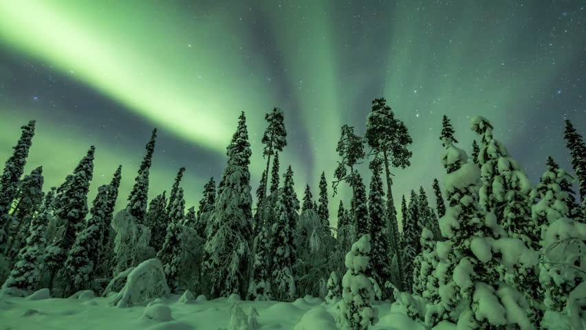 Aurora Borealis Above a Snowy Stock Footage Video (100% Royalty-free
