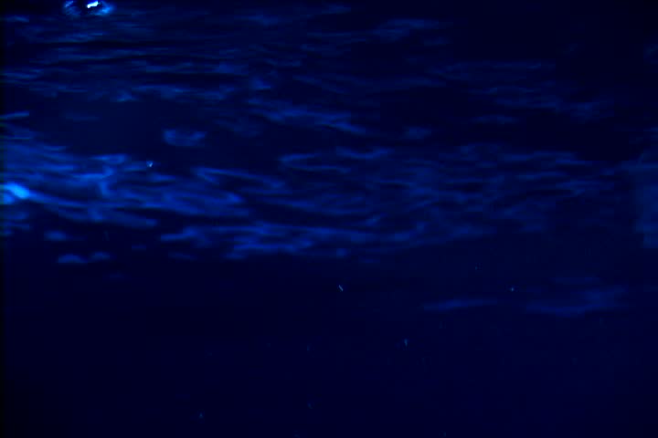 Dark Blue Pool Water water in the pool highlighted in blue red green and white gentle Dark Blue Pool Water water in the pool highlighted in blue red green and white gentle