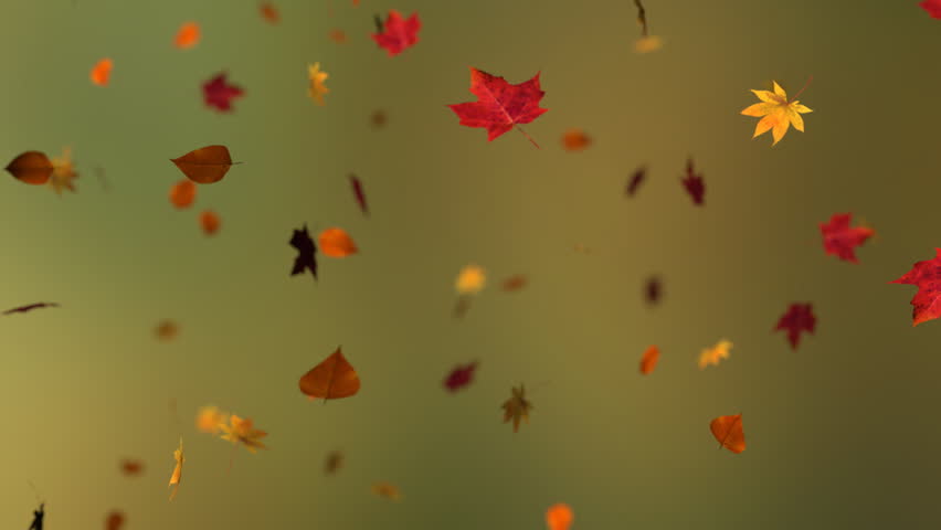 Monarch Butterflies Flying In A Small Group. HD 1080, Digitally ...