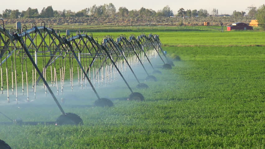 Automated Farm Irrigation System With Drop Sprinklers In Field Stock ...