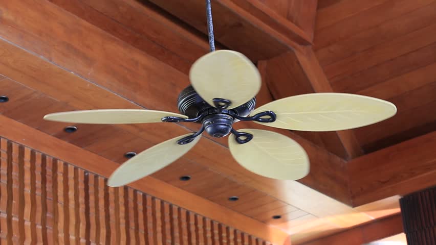 Ceiling Fan In Tropical Home Stock Footage Video 100 Royalty