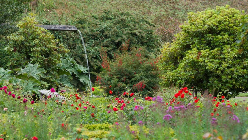beautiful garden full of flowers and waterfall hd stock video clip - Beautiful Flower Gardens Waterfalls beautiful garden full of flowers and waterfall hd stock video clip - Beautiful Flower Gardens Waterfalls