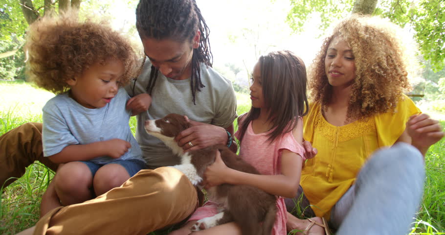 Blond Long Hair Man Stock Footage Video Shutterstock Handsome Dad And Cute Kids Laugh At The Beautiful Blonde Curly Haired Mom Getting Puppy