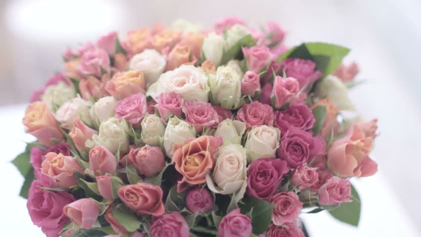 Gorgeous Pink Flowers Stock Footage Video 15291262 Shutterstock Gorgeous Pink Flowers Hd Stock Footage Clip