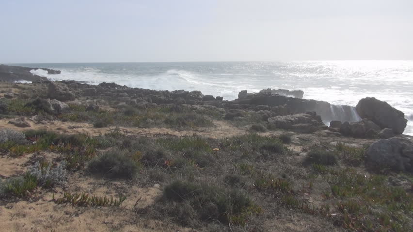 Header of semidesert