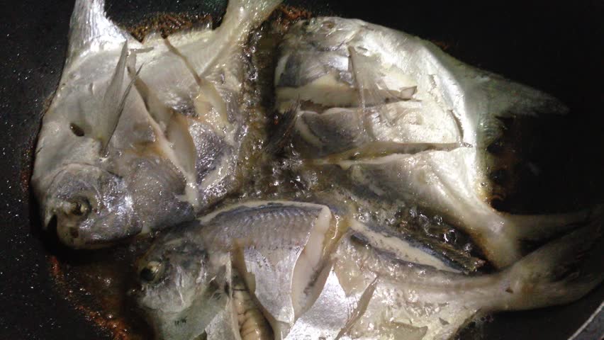 Header of pompano